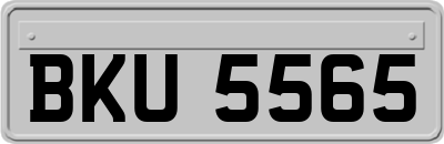 BKU5565