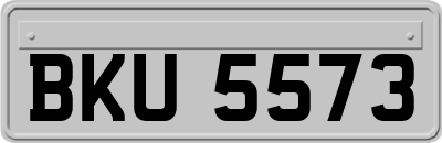 BKU5573