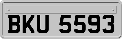 BKU5593