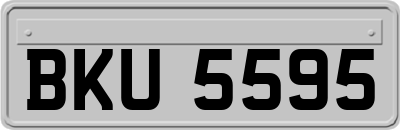 BKU5595