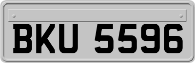 BKU5596