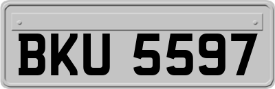 BKU5597