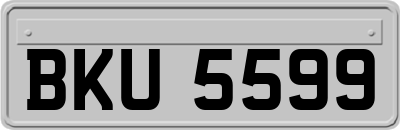 BKU5599