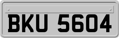 BKU5604