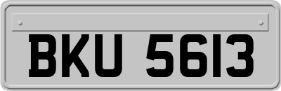 BKU5613