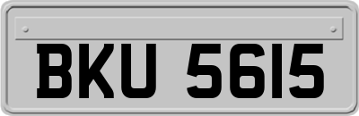 BKU5615