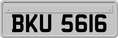 BKU5616