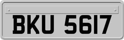 BKU5617