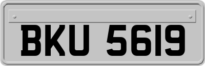 BKU5619