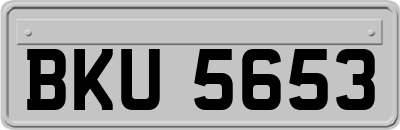 BKU5653
