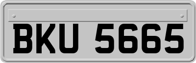 BKU5665