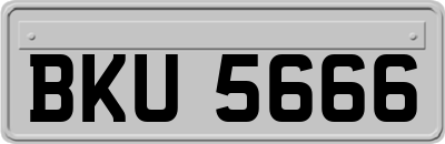BKU5666
