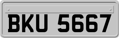 BKU5667