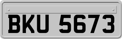 BKU5673