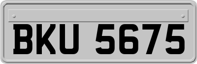 BKU5675