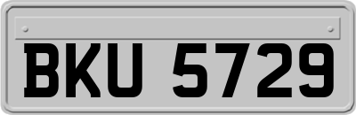 BKU5729