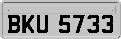 BKU5733