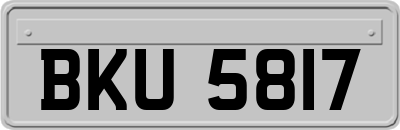 BKU5817