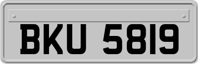 BKU5819