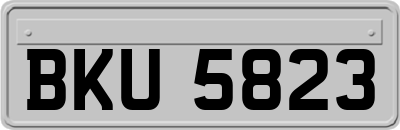 BKU5823