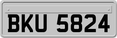 BKU5824