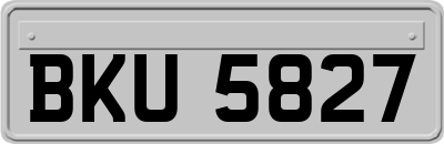 BKU5827