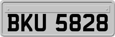BKU5828