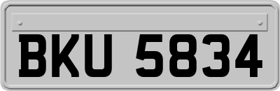 BKU5834