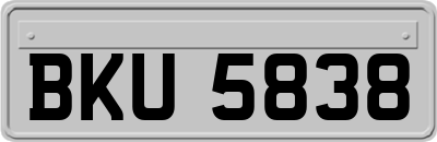 BKU5838