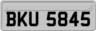 BKU5845