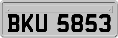 BKU5853