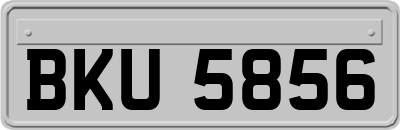 BKU5856