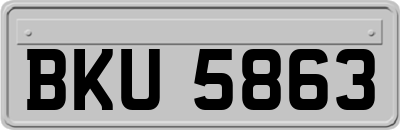 BKU5863