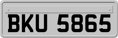 BKU5865