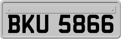 BKU5866