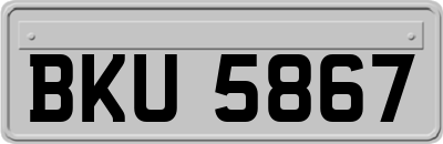 BKU5867