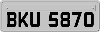 BKU5870