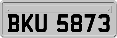 BKU5873