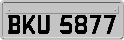 BKU5877