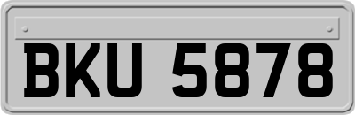 BKU5878