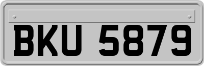 BKU5879