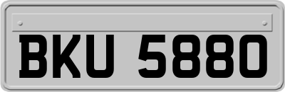 BKU5880