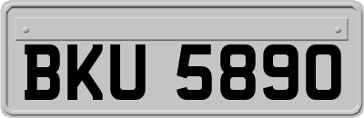 BKU5890