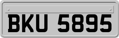 BKU5895