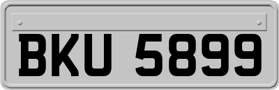BKU5899