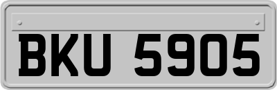 BKU5905
