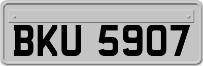 BKU5907