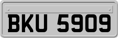 BKU5909
