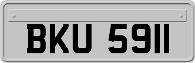 BKU5911