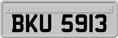 BKU5913